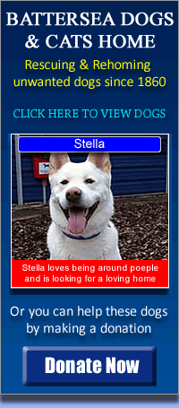 About Us | Kanosak Canine Training | Maple Park, IL Dog Training ... ... Wells, Meopham, - Dog Training Kent - Dog Training Kent Home Services
