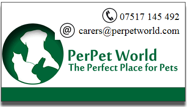 Kent Dog Behaviour Training 1-1 Home visit Services For ...