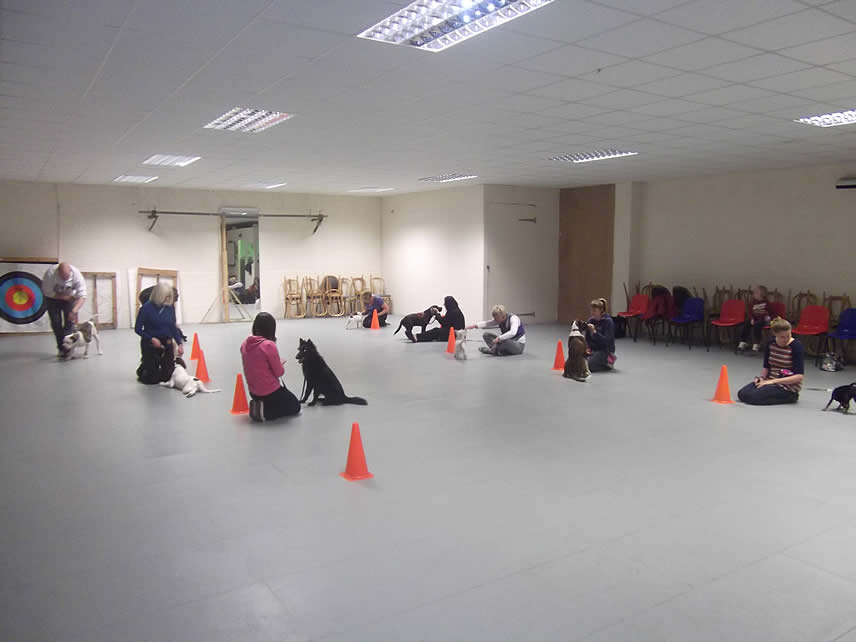 Dog Training Classes, Indoor Basic Obedience Group Course ...