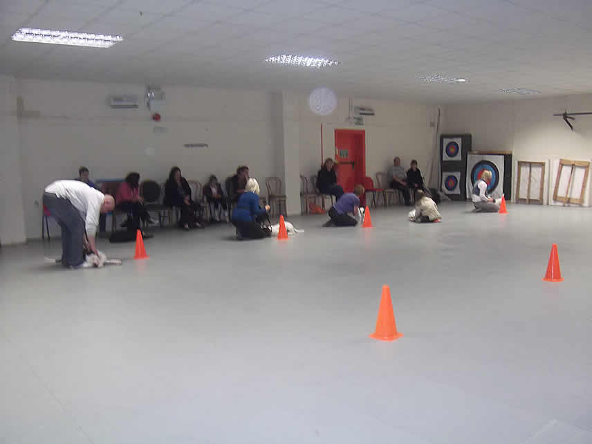 Dog Training Classes, Indoor Basic Obedience Group Course ...